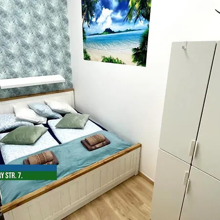 Little Americas Palm * Budapeste