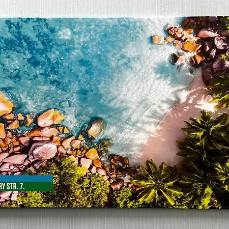 Little Americas Palm * Budapest