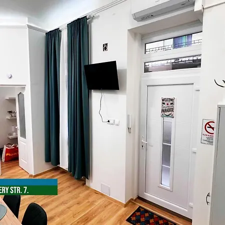 Little Americas Palm *