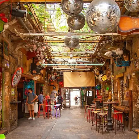 Little Americas Palm